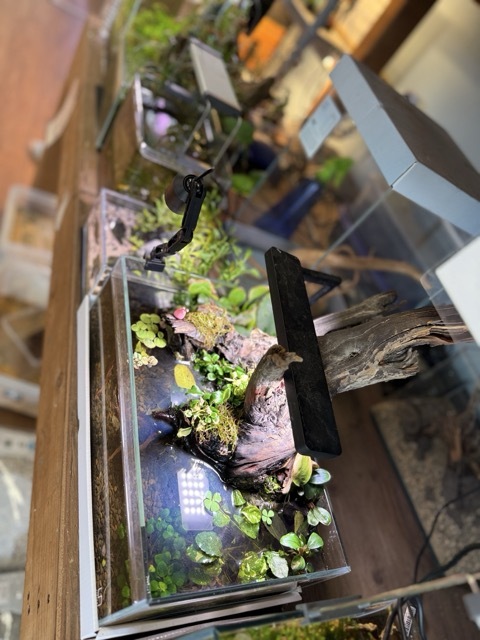 aquascape displays pet zone sd