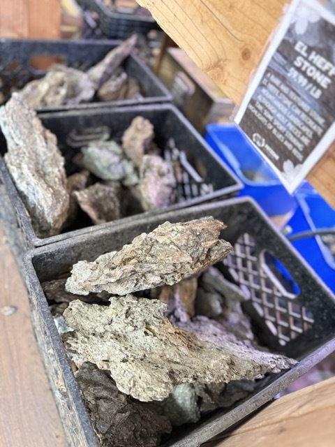 Seiryu stone and aquascaping hardscape at Pet Zone SD